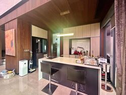 The Trizon (D10), Condominium #519530171
